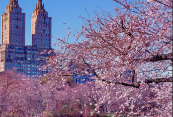 纽约中央公园+自由女神+华尔街+时代广场+中文司导行程可调【[定制包车游]专享中文司机独立包车，市区范围酒店上门接送，行程路线天数可根据个人需求调整。】
