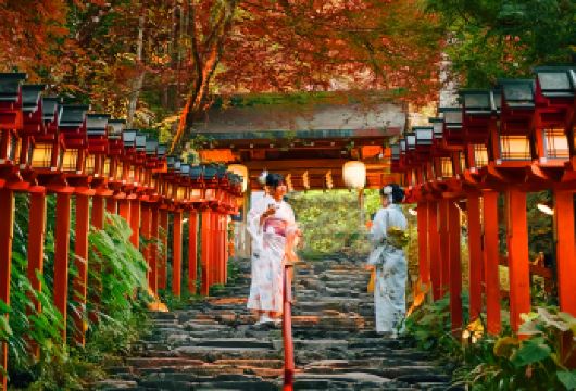大阪+京都小团一日游丨红叶秘境巡礼琉璃光院·三千院·贵船神社【漫步琉璃光院，红叶映照庭院，感受京都秋日的静谧之美】