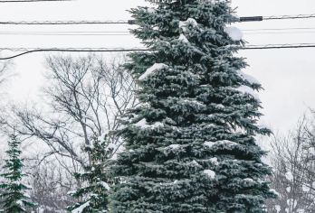 日本北海道旭川动物园｜白须瀑布｜札幌往返｜中文专车【尊享一对一高端行程定制，多日豪华包车专属礼遇，专业旅行顾问24小时恭候垂询。】