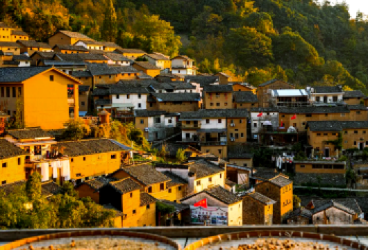 新安江山水画廊+阳产土楼+徽州古城【上门接送|含门票+导游】【专业导游解读土楼智慧、古城底蕴，赏秋同时感受徽州人文】