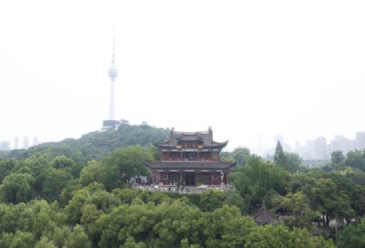 武汉一日游：黄鹤楼|武汉长江大桥|青川阁【专业英语导游全程陪同：探索黄鹤楼、长江大桥与晴川阁，聆听传奇解说 尊享接送服务：全程配备专属房车或豪华轿车，确保您在各标志性滨河景点间舒适无忧地无缝接驳。 深度长江文化探索：通过两江风光、洪水传说与古今地标对话，解码武汉这座江城的水系基因。】