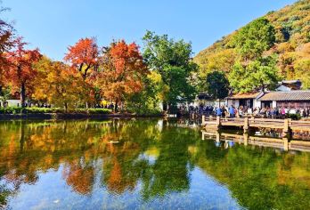 【苏州赏秋采桔边摘边吃】苏州出发天平山赏枫+木渎古镇一日游【天平山景区—中国四大赏枫胜地之一】