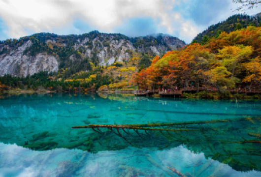 九寨沟一日游【2-8人商务直通车/松潘/黄龙九寨】【[省心出行]九寨沟直通车出行，松潘/黄龙九寨高铁站出发，直达九寨沟沟口，1人也出行！】