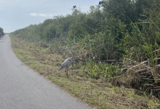 美国迈阿密-第八区-海湾公园-温尼伍德墙-包车私享【专业行程定制，精选热门景点，高效游玩不走回头路，贴心服务保障，轻松】