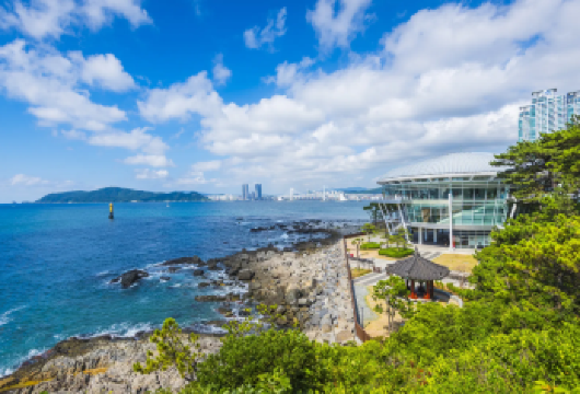 【釜山中文包车】冬柏公园+际线斜坡滑车+釜山塔+电影博物馆【中文包车服务，让您轻松享受釜山的历史、文化和充满活力的城市景观。】