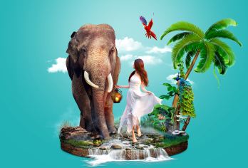 野象谷+原始森林公园一日游【趣萌大象◆观孔雀放飞】【[服务保障]全程纯玩不进购物店，西双版纳本土导游带队，深入雨林探秘，了解真正傣族文化+精华景区深度游】