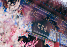 南京美龄宫+明孝陵+中山陵景区一日游【小团8/15人丨无限次小交通多套餐丨赏绣球花丨音乐台喂鸽】
