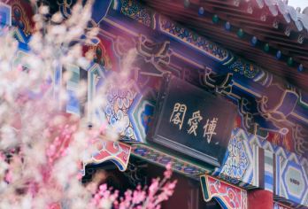 15人团丨无限次小交通丨美龄宫+明孝陵+音乐台+中山陵一日活动【[邂逅金陵浪漫]晒太阳 喂鸽子 一场治愈之旅。10月3-7日音悦台换灵谷寺】