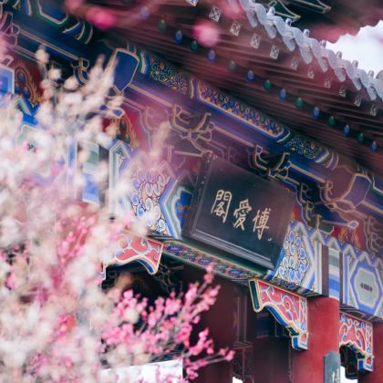 15人团丨无限次小交通丨美龄宫+明孝陵+音乐台+中山陵一日活动