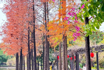 私家团上门接送+东莞可园+南社明清古村落+松山湖公园1天游【私家旅行：一单一团，不拼客，专属旅行 品质服务：5座/7座车上门接送，专职司机护航】