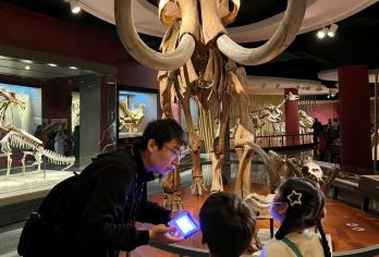 【2人发团】上海自然博物馆/门票可选/恐龙特展可选含人工讲解【[私家小团]享受私家团待遇，小团服务听得清看得懂】