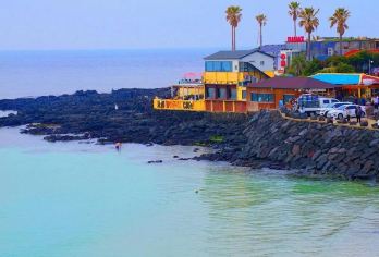 【济州岛一日游】“济”刻出行 |“携”手玩转牛岛线【每日专属服务群，22点前入群集合点3km以内酒店上门接，全程纯玩无购物，服务人员提前一天联系安排。】