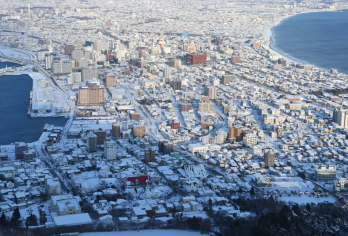 日本富良野青池+美瑛圣诞树【中文司机/可订多日】【免费量身定制行程，多日行程包车巨惠！详情可咨询客服人员！】