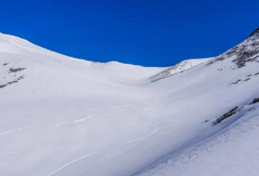 日本北海道+旭川动物园+白须瀑布一日游/行程可调-可定制多日【包车一日游，解锁旅行新方式！独立车辆配备经验丰富的老司机，为您量身打造专属行程。】