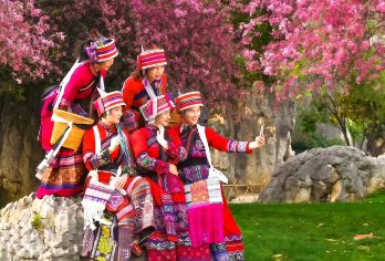 石林+九乡纯玩一日游【二环车接◆可选15人轻奢小团◆新线路】【[纯玩保证]多套餐可选，一天玩转两大景点，AAAAA级景区地上看石林+AAAA级景区地下探九乡。】