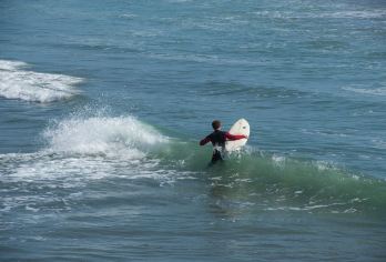 新西兰奥克兰 怀·欧·塔普地热仙境-胡卡瀑布可定制南北岛包车【专属客服和本地中文司机，一家一团包车】