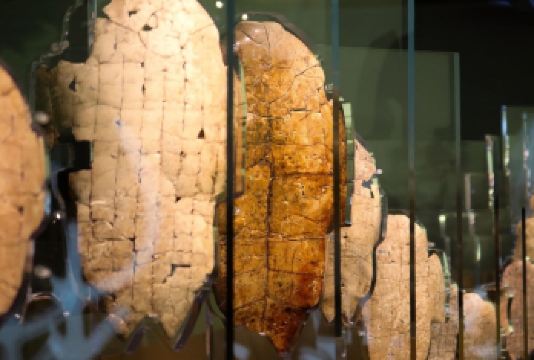 趣豫说安阳【殷墟博物馆】【宫殿遗址】王陵遗址【6H拼或包团】【[全景讲解]覆盖安阳殷墟博物馆、宫殿遗址、王陵遗址】