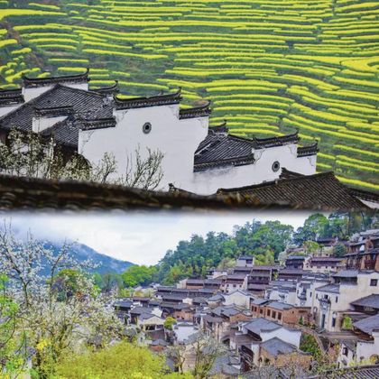 婺源风景区+婺源庆源农家乐一日游