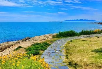 青岛胶州湾大桥+黄岛金沙滩+鱼鸣咀+唐岛湾私家小团纯玩一日游【3-6人VIP私家小团，酒店接送，纯玩无任何自费无任何购物，午饭推荐经济实惠小吃】