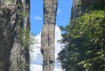 恩施大峡谷一日游【云龙地缝+七星寨景区纯玩&城区接送】【[精品管家]24小时客服在线，用心接待有问题及时解决，行程无忧。（多选套餐，可往右滑动下套餐）】