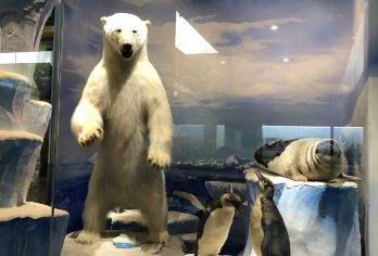 国家自然博物馆一日游【含研学手册 亲子研学主题活动】【含研学手册 亲子研学主题活动】