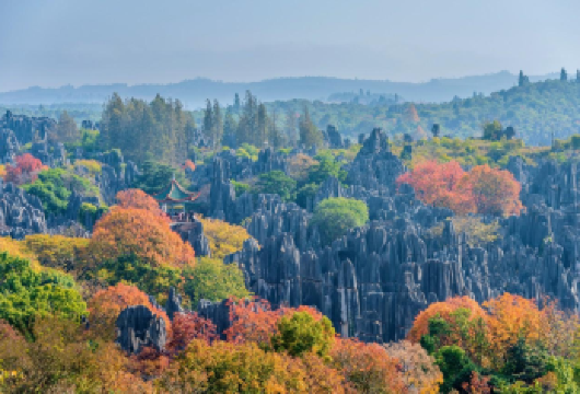 石林风景区一日游【贵宾独立团◉三环内接送◉时间自由随心】【睡到自然醒，司机管家酒店门口等待，随时出发，不等车，不排队，更早到达景区，避免等车，打不到车的麻烦！】