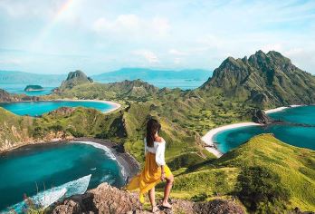 印尼科莫多一日游【粉色沙滩|科莫多龙|帕达尔岛|快艇出海】【可选中文导游，自营服务，无中间商赚差价】