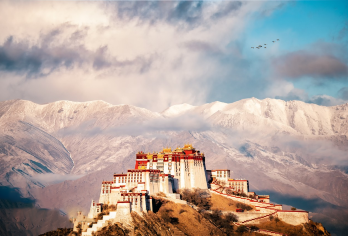 拉萨包车地陪导游翻译地接陪同接送旅游展会商务考察陪诊【拉萨包车地陪导游翻译地接陪同接送旅游展会商务考察陪诊】