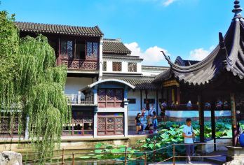 狮子林1.5H人工讲解 橄榄游●资深导游精讲小包团 含耳麦 【[橄榄游讲师团]他们博古通今，幽默睿智，善于挖掘文物背后的故事，用有趣的方式还原历史真相！】