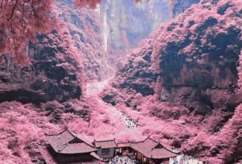 重庆武隆 天坑三桥－龙水峡地缝一日游【纯玩品质：全程无购物、无隐性消费。】