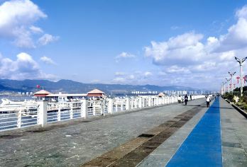 昆明石林风景区+滇池海埂大坝+斗南花卉市场包车1日游【结合昆明的历史、地质奇观和湖泊风光，打造一条充满视觉冲击力的路线。】