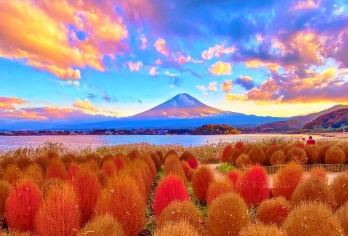 日本东京富士山一日游【网红景点纯玩打卡|限定赏枫|中文服务】【[铁发团]铁发团，1人即可成行，中文服务，无需担心语言不通】