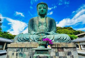 日本东京/箱根/横滨/镰仓/山/任选关东一日包车-咨询立减【专属客服和本地中文司机，一家一团包车】