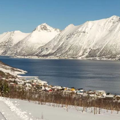 挪威特罗姆瑟往返塞尼亚岛一日游|实时询价|不含门票丨中文司机