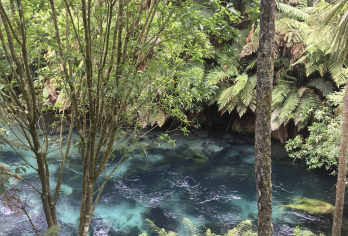 新西兰奥克兰+罗托鲁瓦&陶波湖-可定制【中文专车-惬意舒适】【中文专车出行，行程自己定义，无需等待，专属贴心服务，尽享惬意旅程】