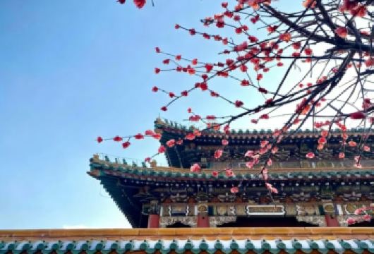 沈阳故宫+大帅府一日游【沈阳起止，2人起订，私家团】【一家一团，独立成团】