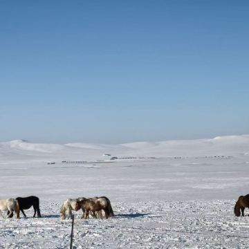 草原+一塔两寺+莫尔格勒河+古城+广场一日游