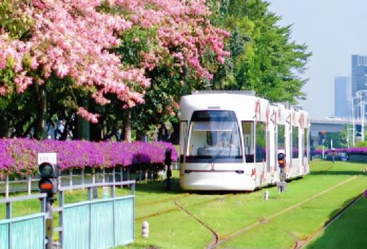 广州电车、塔楼与珠江日夜游一日游（含私家车）【乘坐广州独特的观光有轨电车，畅游7公里迷人的城市风光。 登上标志性的广州塔，尽享360度令人叹为观止的城市全景。 在璀璨的珠江上享受一场迷人的夜游，为您的夜晚画上完美句点。】