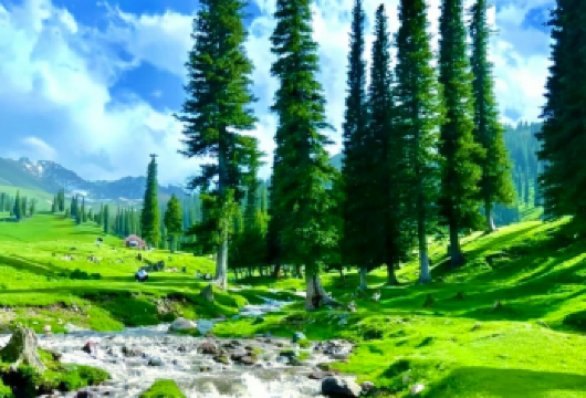 那拉提一日游【可选空中//河谷草原，小团，接送，纯玩】【[核心优势]纯玩小团，伊宁市区上门接，出行无忧】