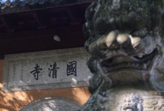 【上门接】国清寺隋梅精讲+石梁飞瀑+智者塔院禅修一日【[匠心讲寺] 特邀文化导师，深度解读国清寺历史与千年隋梅传奇】