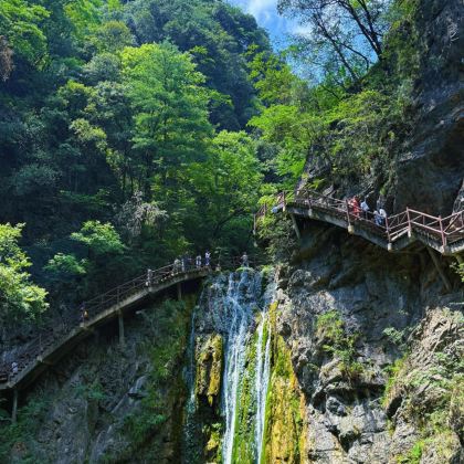 6人团-金丝大峡谷+棣花古镇纯玩一日