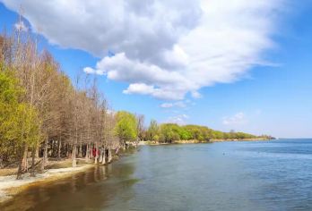 大理苍山+洱海一日游【独立用车/行程自由/纯玩无购物】【独立用车，一单一团，专车专享】