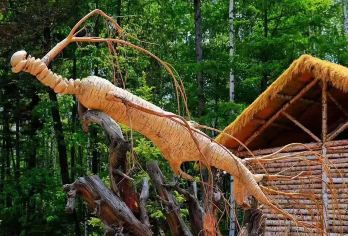 二道白河起止｜两人起订｜露水河国际狩猎场+挖人参一日游【天然的野生动物园组成壮观的神气的植物景观】