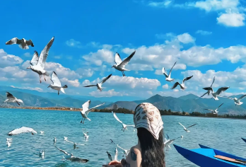 泸沽湖360°全景环湖1日游【纯玩+一价全含+经典IP全揽】【[缤纷景点]360°环湖全景游， 猪槽船游湖，经典IP全揽，专业旅游司机正规旅游出行，高原行车更安全】