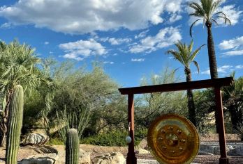 美国凤凰城-凤凰城动物园、植物园包车一日游【精选老司机】【包车一日游，解锁旅行新方式！独立车辆配备经验丰富的老司机，为您量身打造专属行程。】