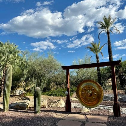 美国凤凰城-凤凰城动物园、植物园包车一日游【精选老司机】