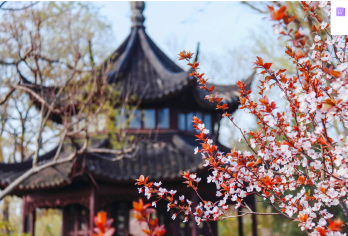 【上海定制包车】拙政园+平江路历史街+留园+七里山塘【全程私人专车服务，不拼团，行程灵活可调整。】