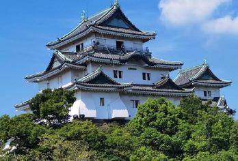 日本大阪+和歌山+三段壁+白良滨一日游/行程可调-可定制多日【包车一日游，解锁旅行新方式！独立车辆配备经验丰富的老司机，为您量身打造专属行程。】