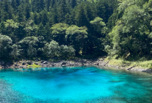 九寨沟一日游【包车游+高铁站往返+景区直达】【[动车往返]天堑变通途，一天也能游九寨， 轻松加愉快。】