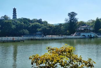 惠州市区包车10小时一天游西湖+水东街+合江楼+惠州市植物园【西湖水东合江韵，半城山色半城湖。】